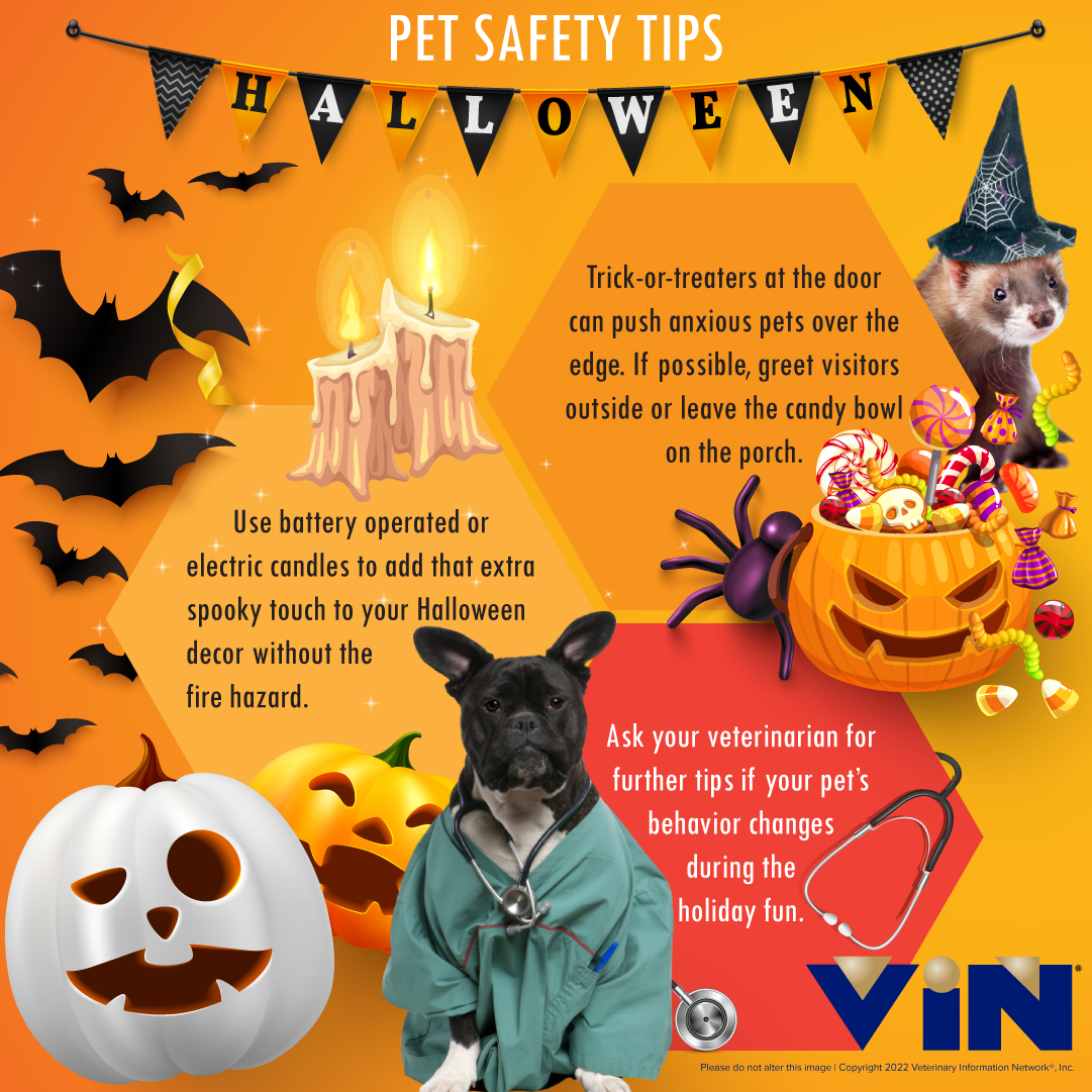 Halloween Safety