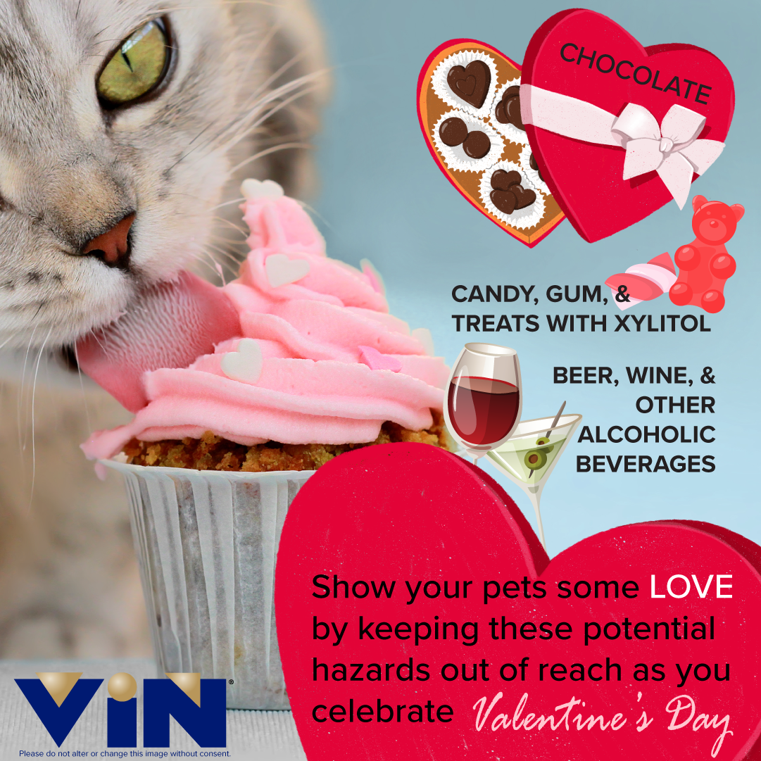 Valentines Day Pet Safety Tips